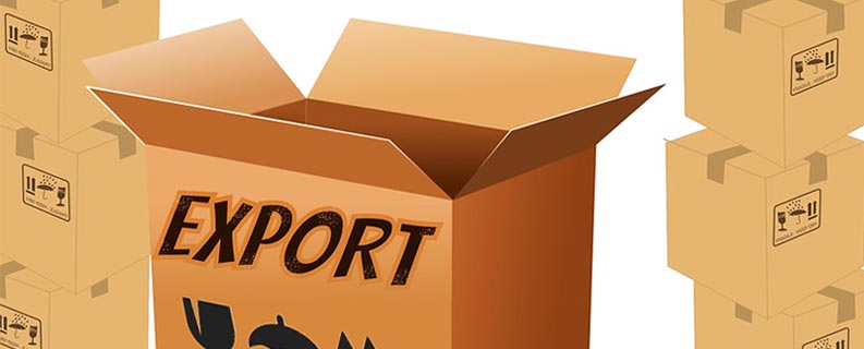 criar site para empresa de mudanças